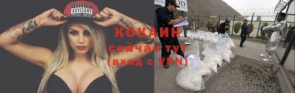 ПСИЛОЦИБИНОВЫЕ ГРИБЫ Нефтекумск
