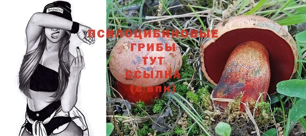 ПСИЛОЦИБИНОВЫЕ ГРИБЫ Нефтекумск