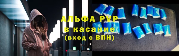 стаф Нея