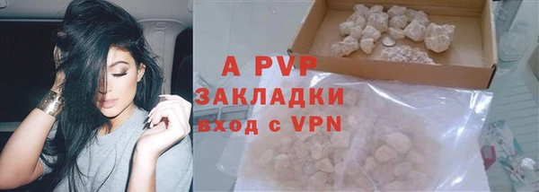 стаф Нея