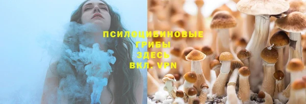 ПСИЛОЦИБИНОВЫЕ ГРИБЫ Нефтекумск