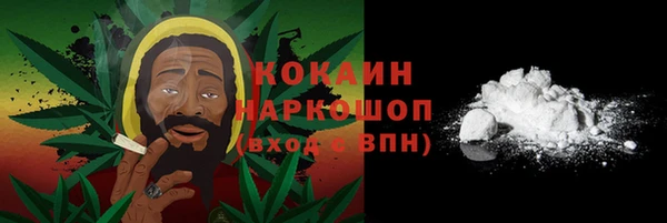 индика Ачинск