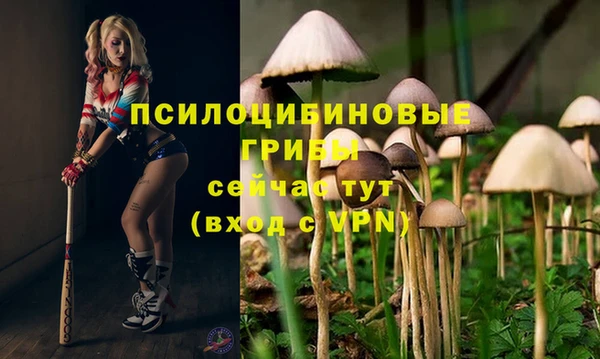 ПСИЛОЦИБИНОВЫЕ ГРИБЫ Нефтекумск