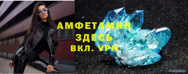 стаф Нея